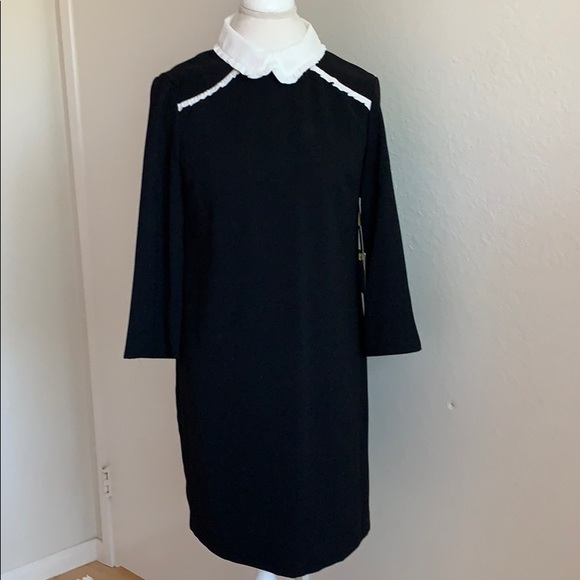 Celeste Peter Pan Collar Outfit